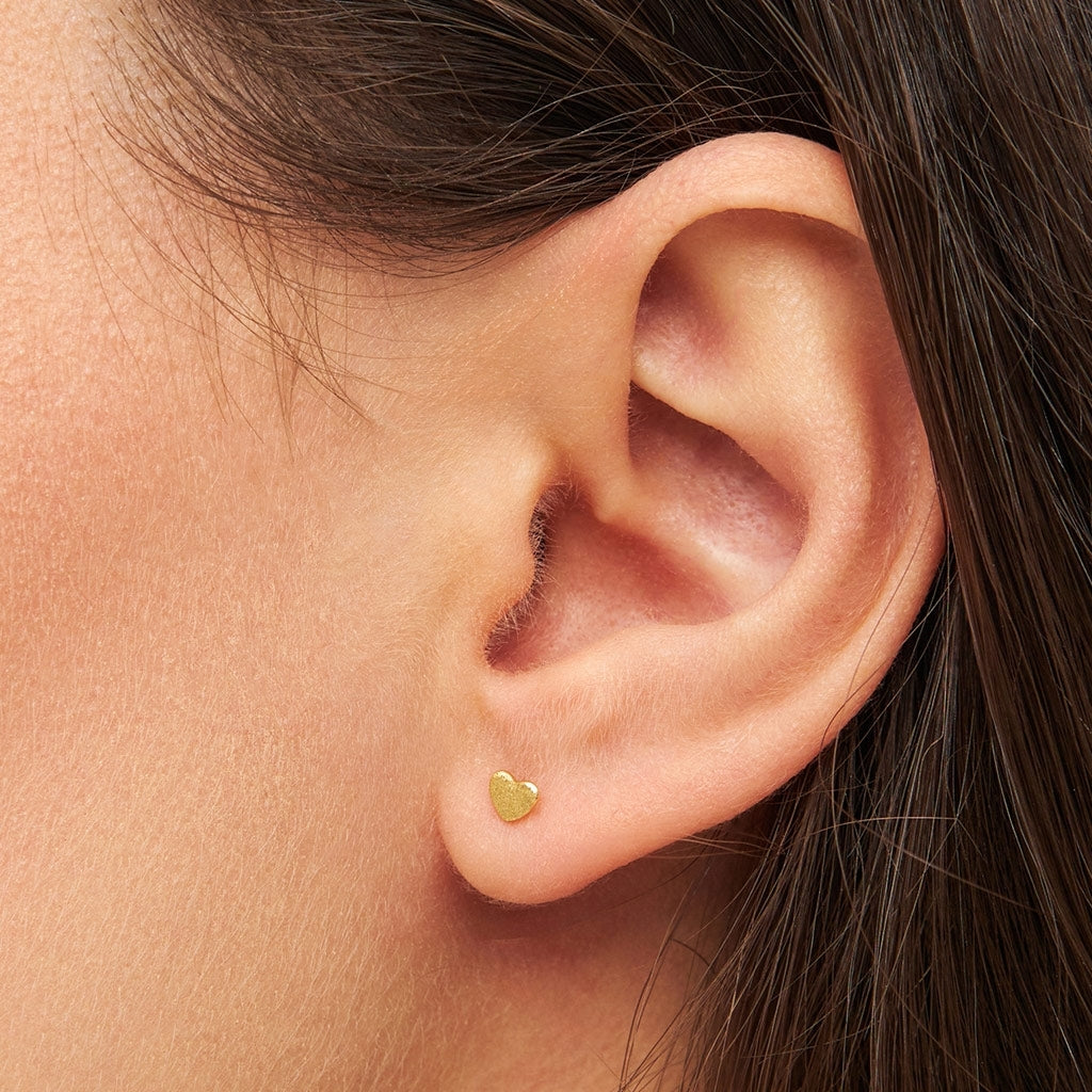 LULU Copenhagen Family Love ĂrhĂ€ngen par borstad Earrings, pairs GuldplĂ€terad