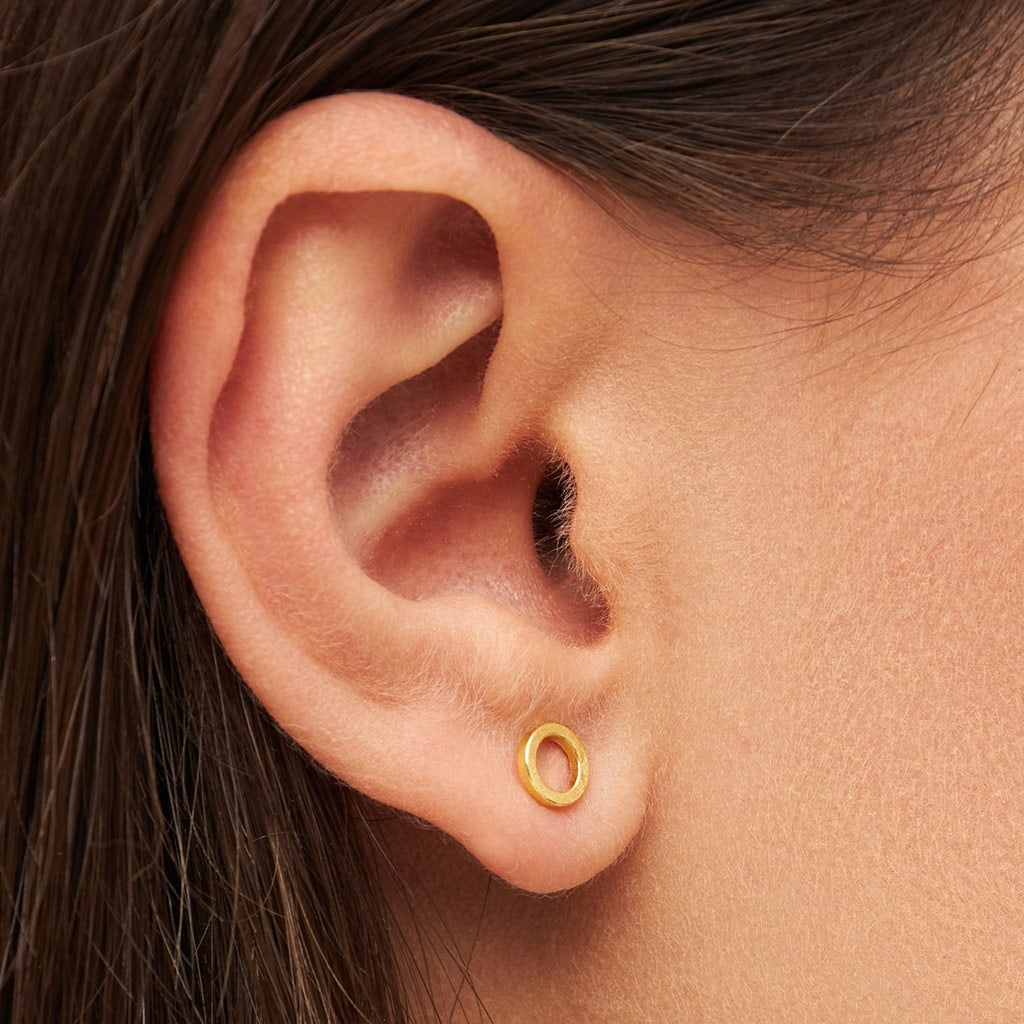 LULU Copenhagen Family Round ĂrhĂ€ngen par borstad Earrings, pairs GuldplĂ€terad