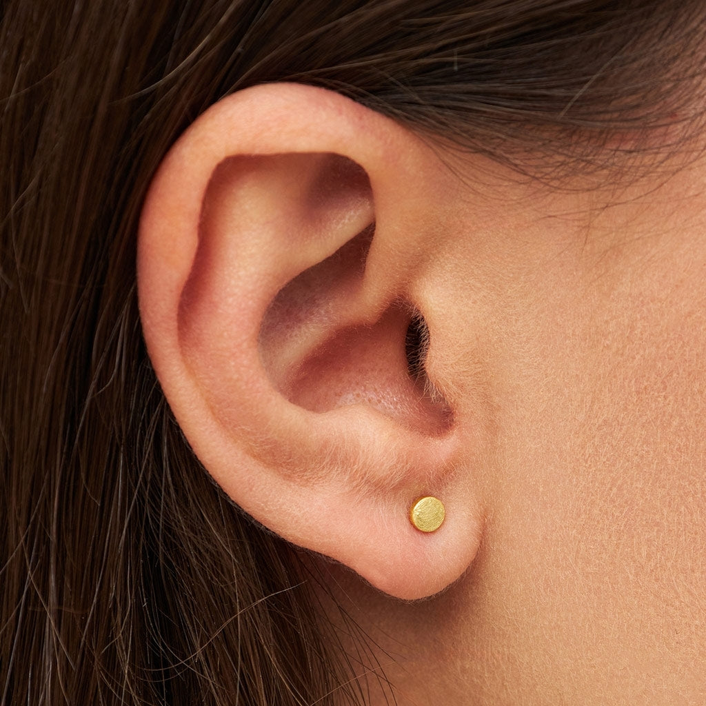 LULU Copenhagen Family Round ĂrhĂ€ngen par borstad Earrings, pairs GuldplĂ€terad