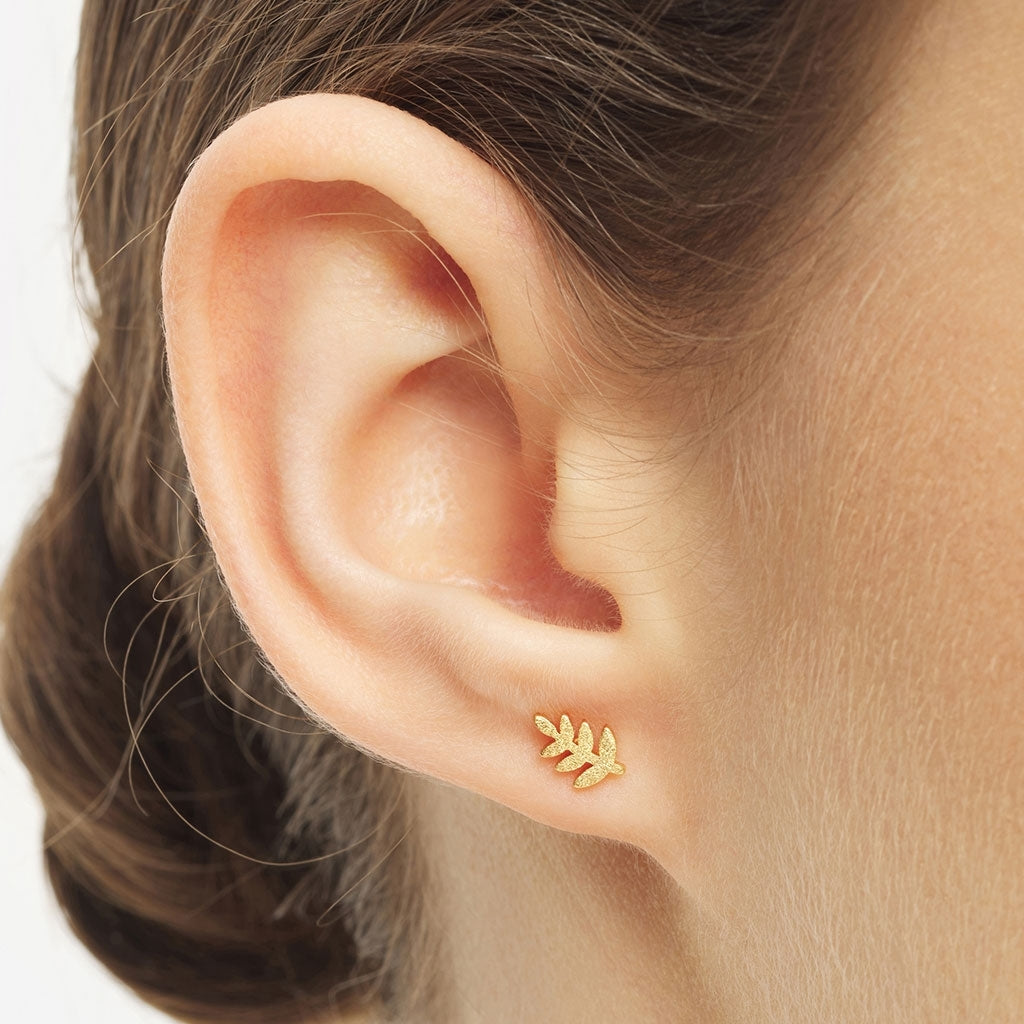 LULU Copenhagen Olive Branch 1 st Ear stud, 1 pcs GuldplÀterad