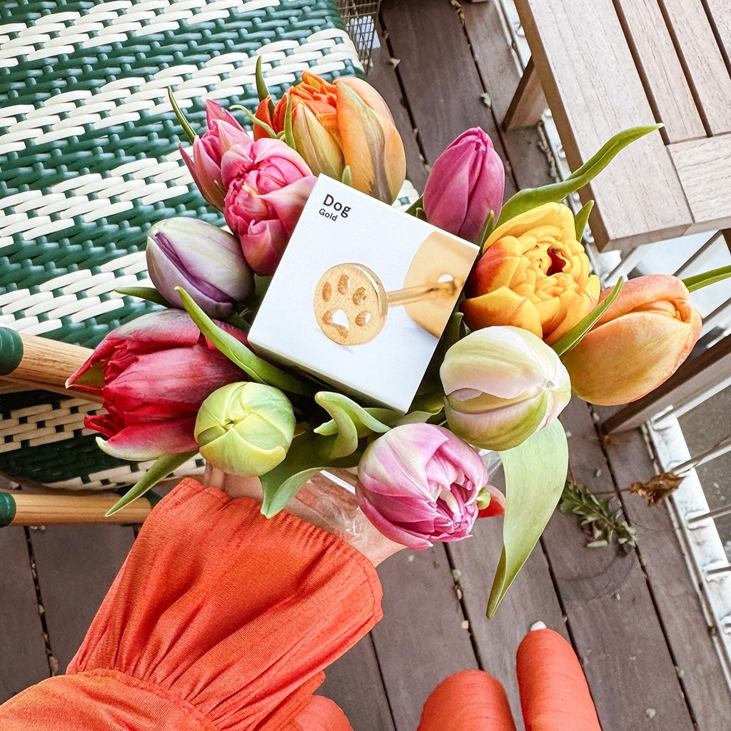 LULU Copenhagen Dog örhänge 1 st Ear stud, 1 pcs Guldpläterad