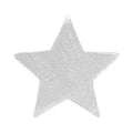 Star örhänge 1 st